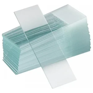 PORTA OBJETO X 50 FROSTED P/ESCRIBIR