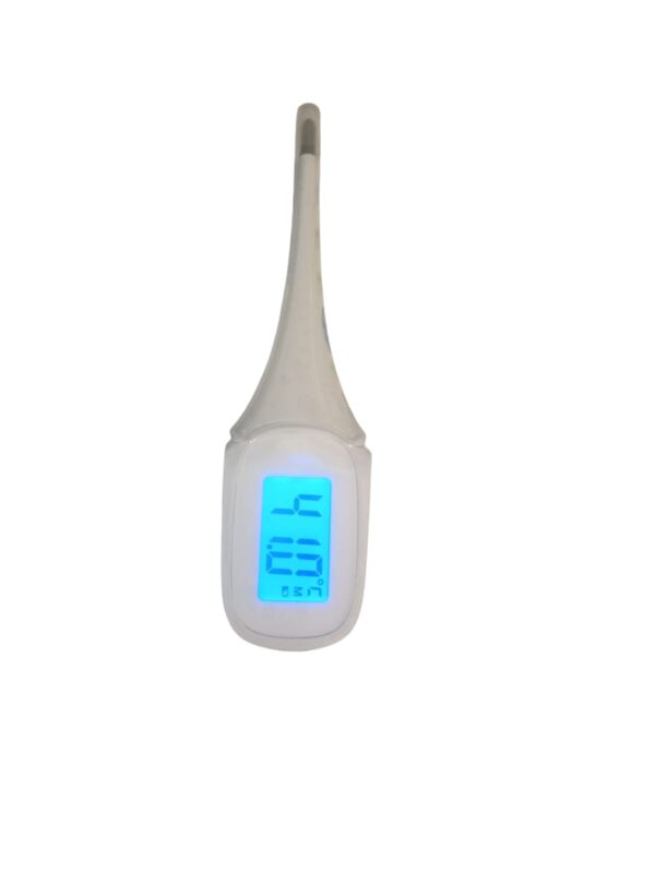 TERMOMETRO DIGITAL JUMBO - Imagen 2