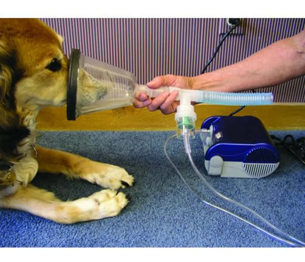 Mascarilla Veterinaria kit x 6 un - Imagen 3