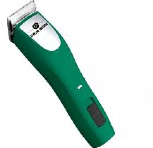 oveja verde